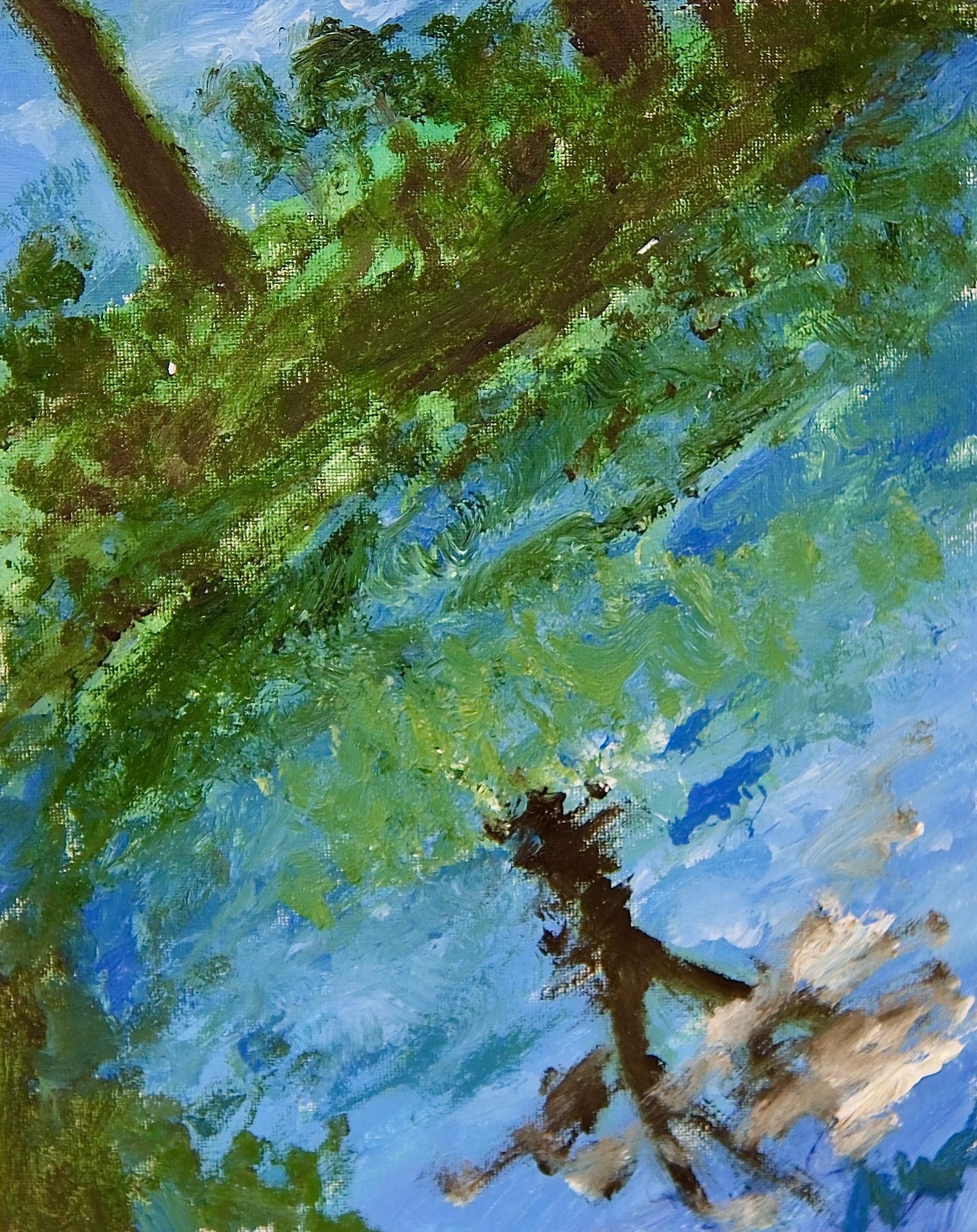 A green leafy branch cuts across the top of the frame; everything below is water, blue and green ripples carrying the inverted reflection of a bare tree and pale cloud.